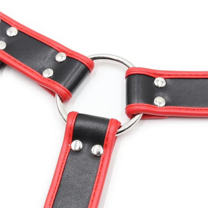 Detalhe da argola em O que une as alças do harness bulldog