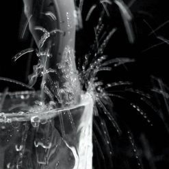 Bunda anal plug massageador de próstata vibrador gay sexo masculino brinquedos para casais orgasmo masturbador carregamento aquecimento erótico produtos Inserção Plug anal