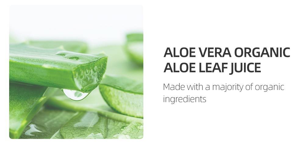 DRY WELL 200ML de Aloe Sex Lube Lubrificante sexual à base de água para o sexo Textura sedoso-suave Amigável ao látex Sem fragrâncias