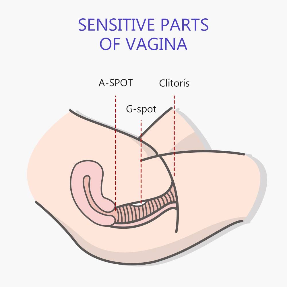 DRY WELL Coelho Vibrador G Spot Vibradores Sexuais para Mulheres Misturado Orgasmo Grânulos Rotativos Estimulador de Clítoris Dildo À Prova D' Água