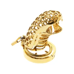 Gaiola de castidade em formato de cobra dourada, em aço banhado a ouro 24K