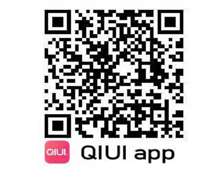 Qiui app chave pod castidade gaiola caixa de chave bloqueio remoto ao ar livre gaiolas galo controle inteligente acessórios masculino cinto castidade dispositivo