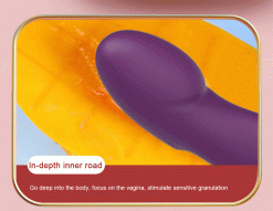 Vibrador de Silicone Poderoso 10 Modos de Vibração Inserção Vibradores