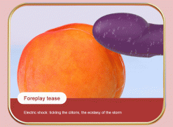 Vibrador de Silicone Poderoso 10 Modos de Vibração Inserção Vibradores