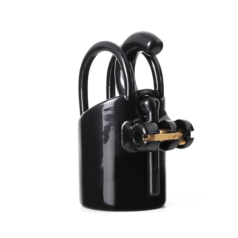 Premium Paint PA Puncture Cock Cage 3D Impresso Dispositivo de Castidade Masculina Destacável Penis Ring Lock Stealth Lock bdsm sex toy para homens