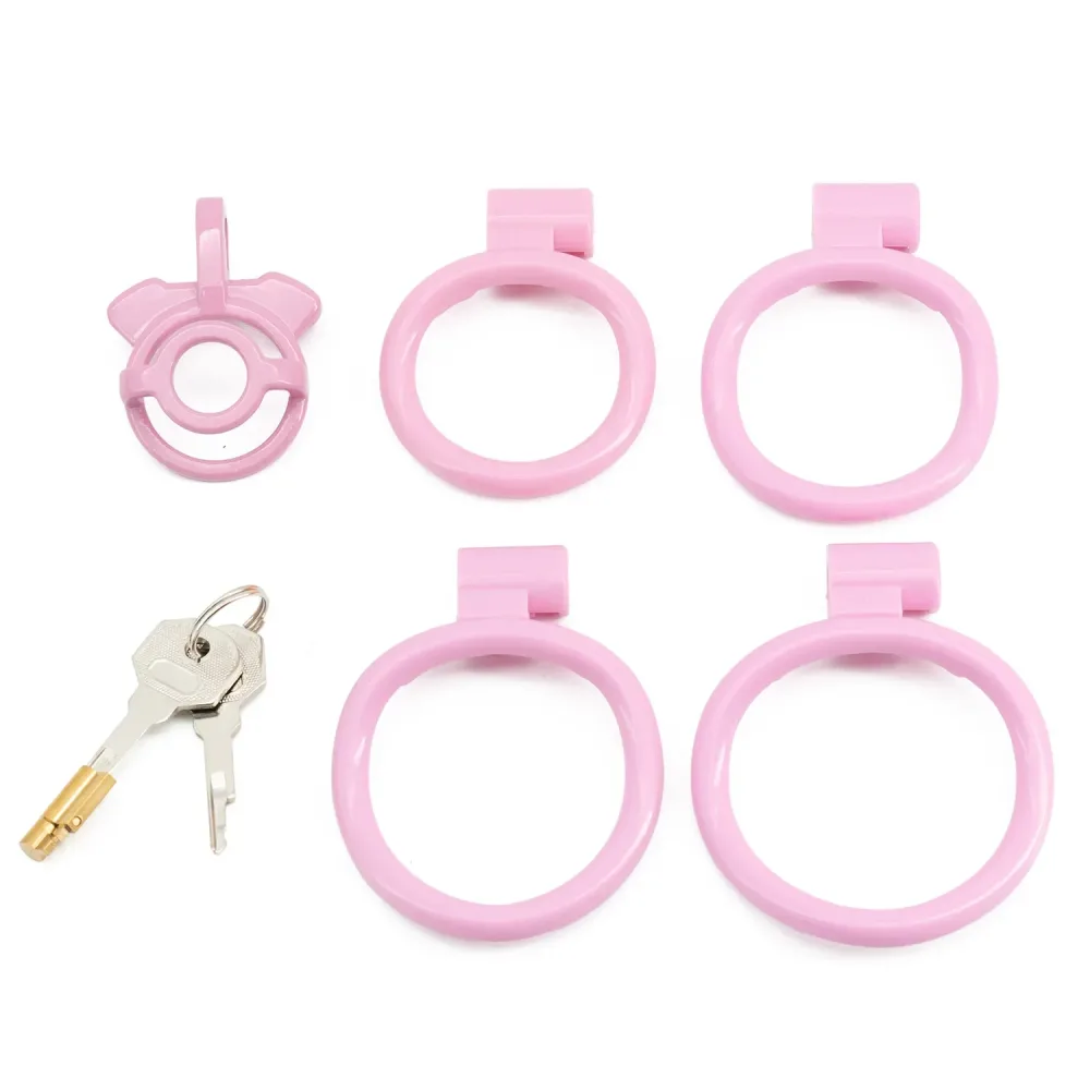 Gaiola flat rosa com os quatro anéis e as chaves do cadeado