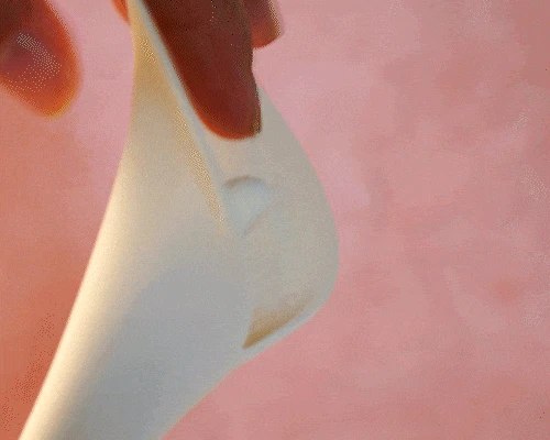 ZALO Calla Dual-head Vibrating Sensual Wand for Women Couples, Female Clitoris Nipples Vibrator Clit Stimulator, Adult Sex Toys ZALO Calla Dual-head Vibrating Sensual Wand for Women Couples, Female Clitoris Nipples Vibrator Clit Stimulator, Adult Sex Toys