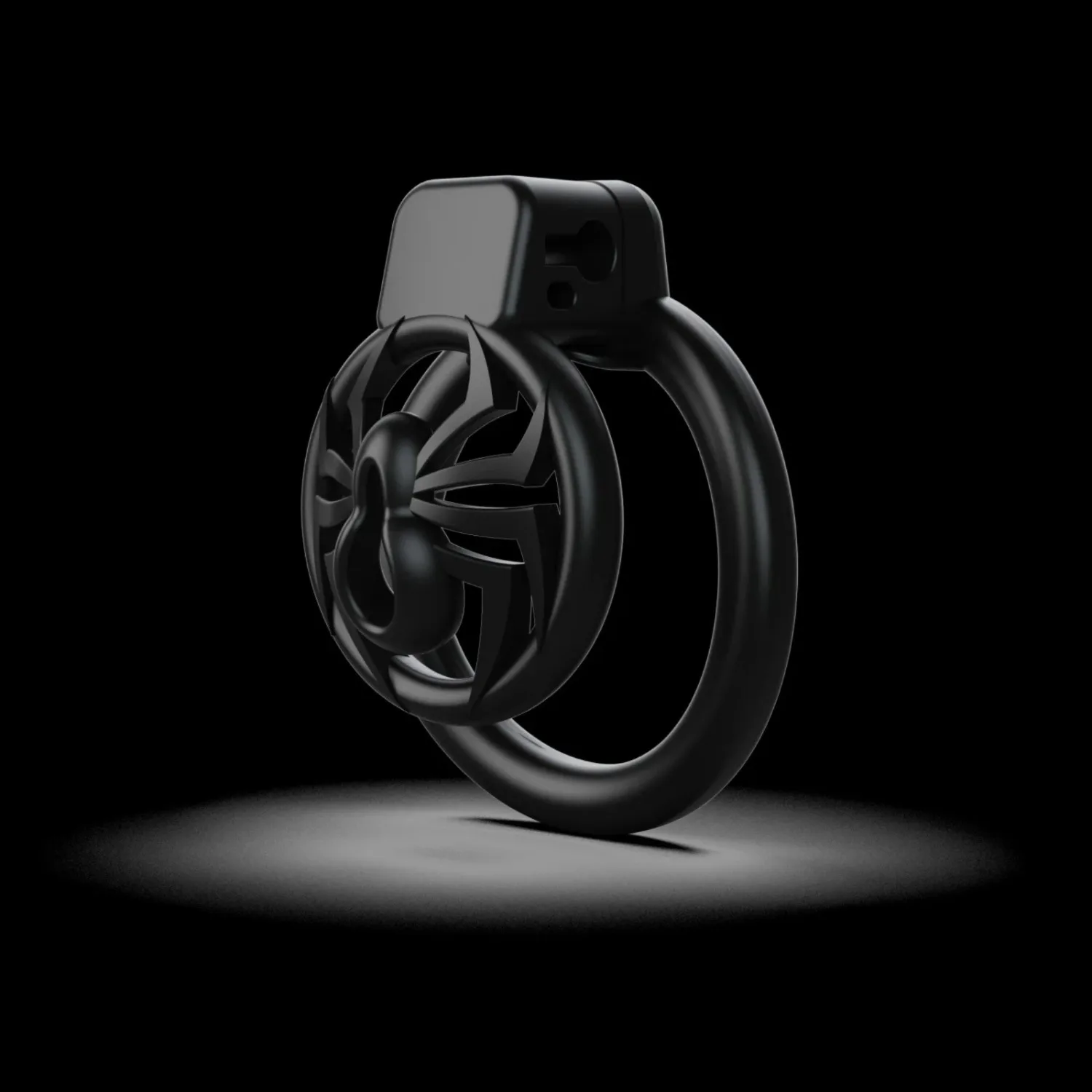 Sissy Chastity Cage with 5 Size Rings Penis Restraint Chastity Lock Sex Toys for Man Gay Abstinence Lock Ring Bondage Cock Cage