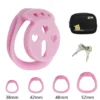 Gaiola de castidade flat Lacre rosa modelo Corações com 4 anéis, 2 chaves e estojo