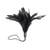 Acessório Penas Cócegas Brincadeira Sexual Black Feather Tickled