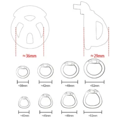 Esquema com as medidas da gaiola, 36 mm de frente e 29 mm de perfil, e os diâmetros dos anéis