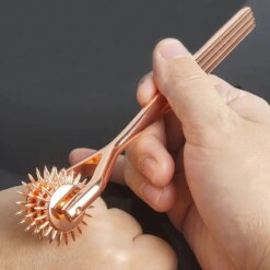 Roda Cravada De Espinhos Espora BDSM Spiked Wheel
