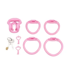 Kit completo rosa: gaiola, quatro anéis numerados, cadeado de latão e chaves