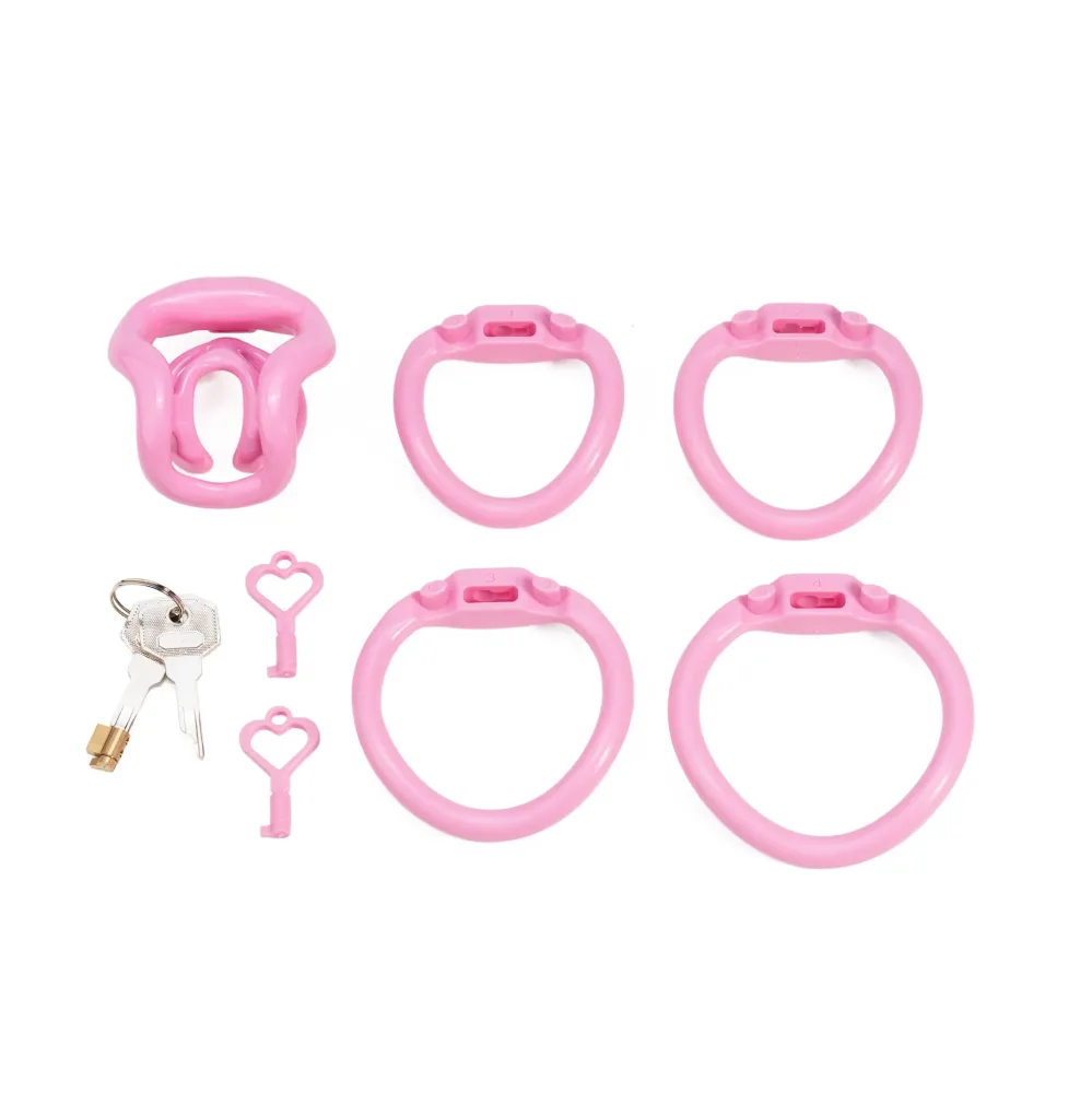 Kit completo rosa: gaiola, quatro anéis numerados, cadeado de latão e chaves