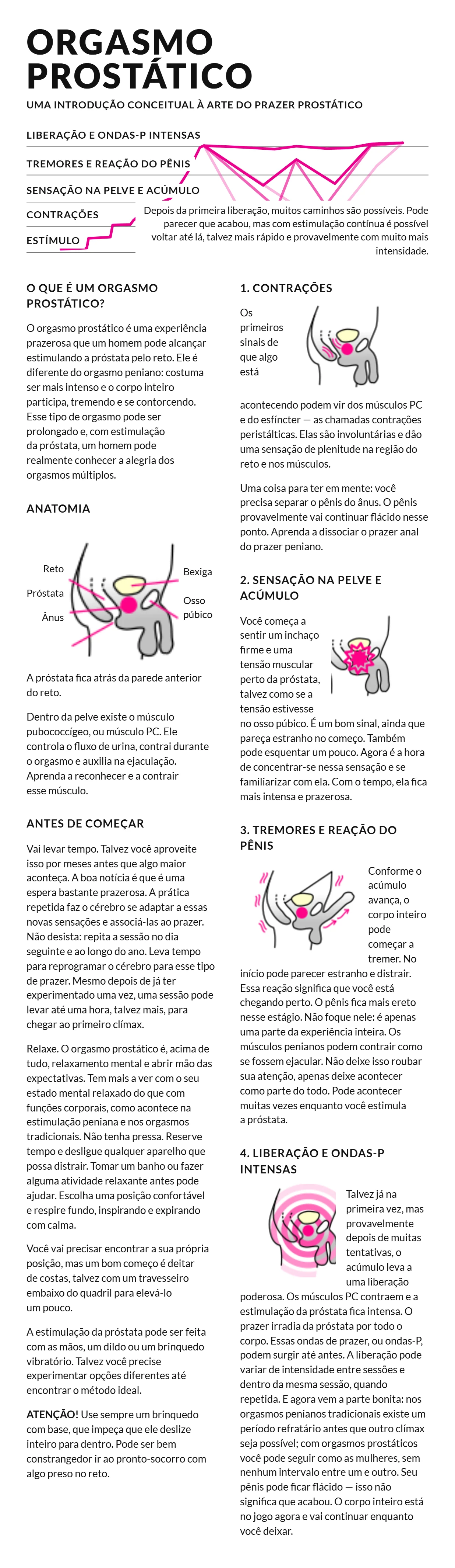Infografico do orgasmo prostatico: anatomia da prostata e as fases do prazer, das contracoes as ondas-P