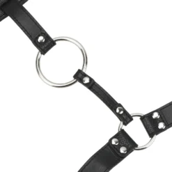 Detalhe da argola O-ring presa por fivela de metal na correia de couro
